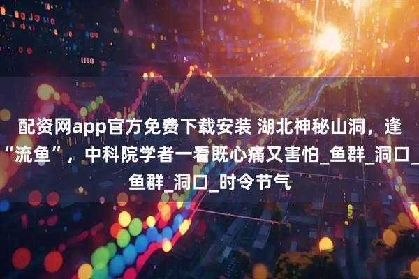 配资网app官方免费下载安装 湖北神秘山洞，逢清明节便“流鱼”，中科院学者一看既心痛又害怕_鱼群_洞口_时令节气