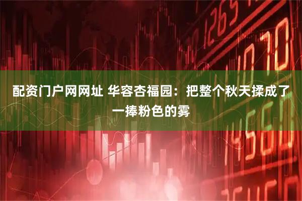 配资门户网网址 华容杏福园：把整个秋天揉成了一捧粉色的雾